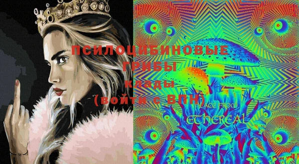 2c-b Липки
