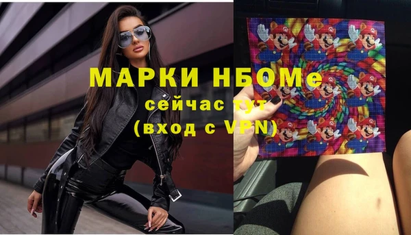ешки Бородино