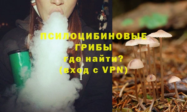 гашик Лиски