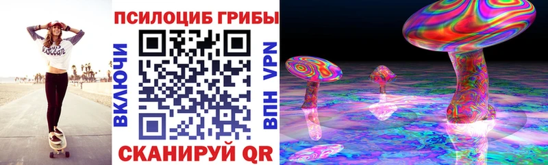 где найти наркотики  KRAKEN как зайти  Псилоцибиновые грибы прущие грибы  Циолковский 